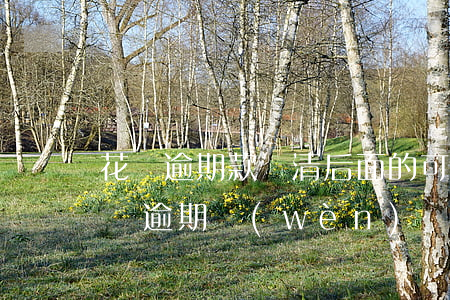 花唄逾期款還清,后面的可以慢慢還嗎，解決花唄逾期問(wèn)題：結(jié)清部分欠款，后續(xù)分期還款可行嗎？